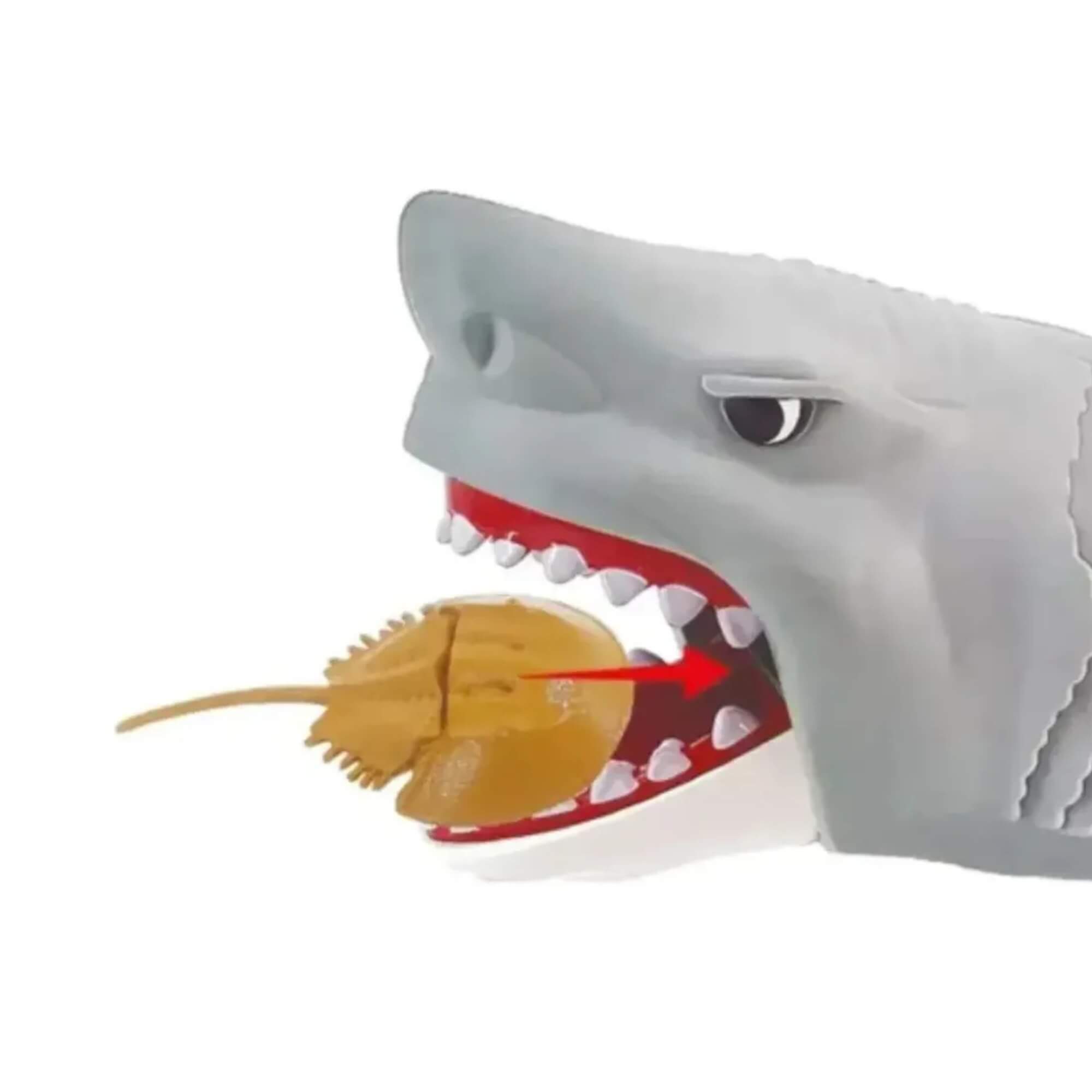 Brinquedo Infantil Tubarão Branco Devorador c/ Som e Acessórios BBR - R3666