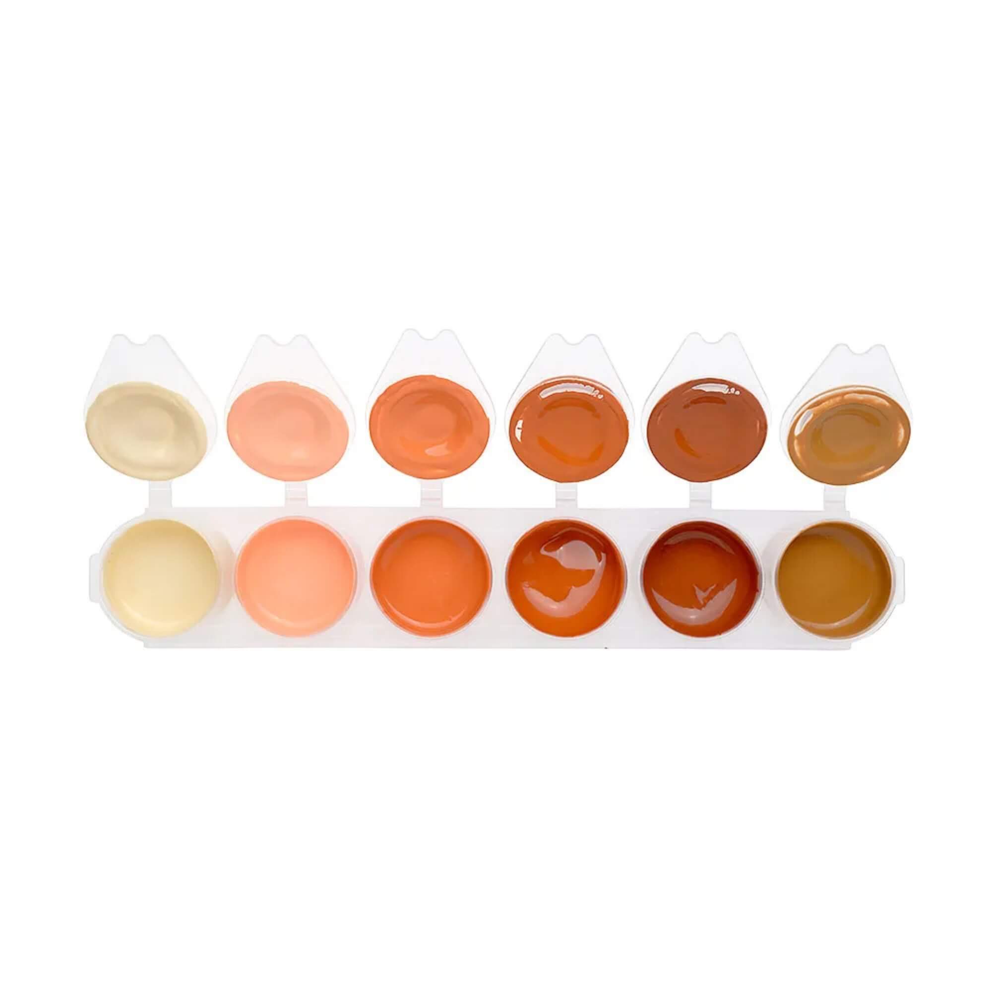 Guache Tons de Pele 6 Cores 15ml Caixa Leo&Leo Leonora - 10760